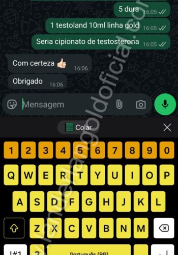 Imagem do WhatsApp de 2025-06-14 à(s) 15.23.11_56fe2df7