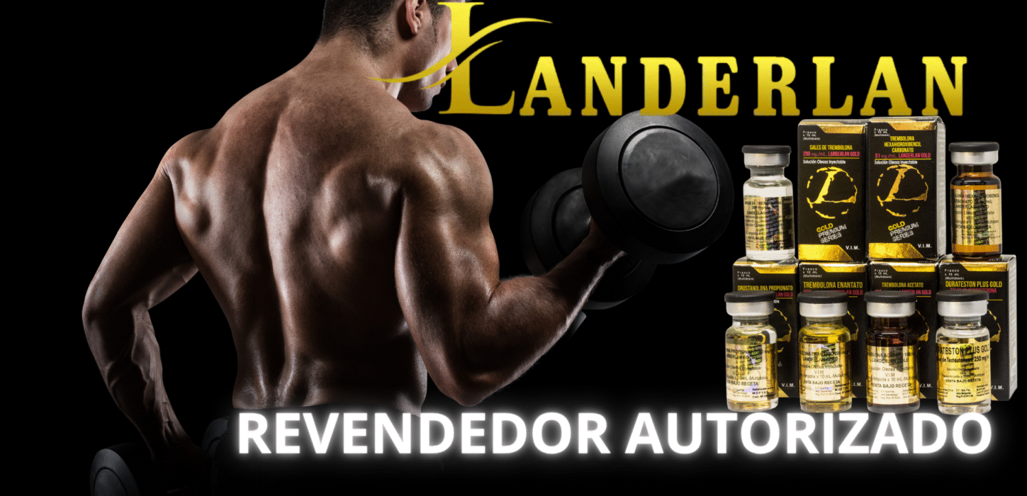 REVENDEDOR AUTORIZADO